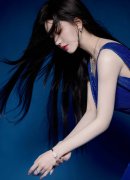 完成法第23条立法、堵塞的缝隙